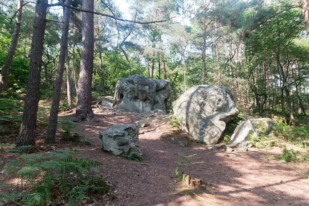 Des rochers en sous-bois dans la forêt de Fontainebleau