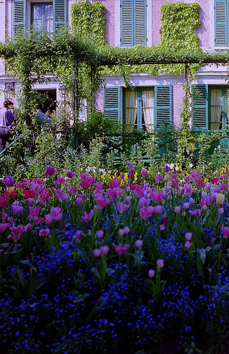 La maison de Claude Monet à Giverny derrière des massifs de tulipes