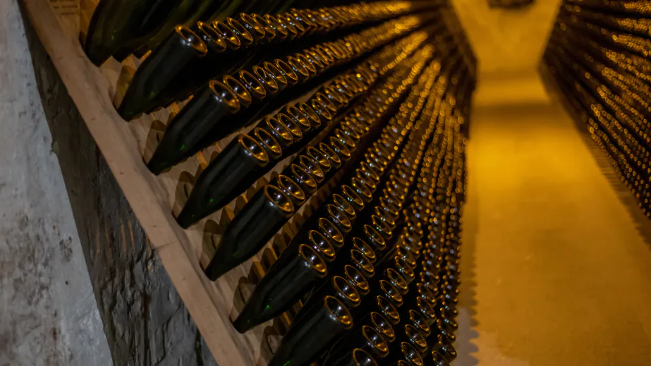 Des bouteilles de champagne alignées dans une cave